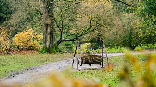 A swing seat looks out towards trees on an autumnal day